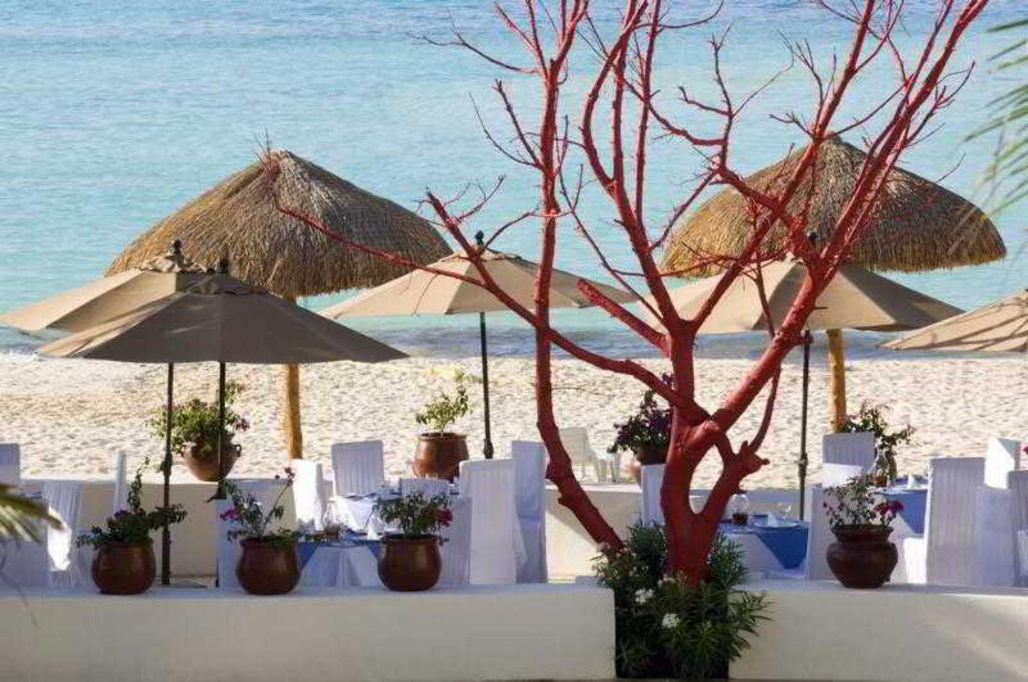 Oasis Palm Otel Cancun Dış mekan fotoğraf