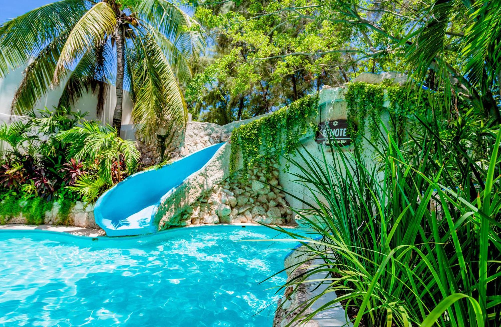 Oasis Palm Otel Cancun Dış mekan fotoğraf